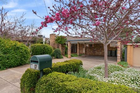 Charming Family Home for Lease in Kooringal - Photo 5
