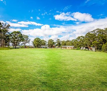 309 Fairey Road, South Windsor NSW 2756 - House For Rent | Domain - Photo 5