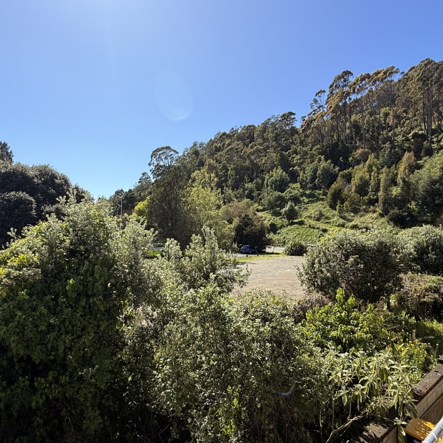 Unit 4, 77 Atawhai Drive, The Wood, Nelson - Photo 1
