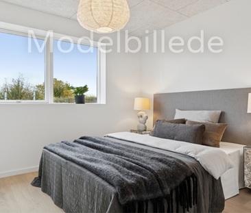 Vibjerg Sandvej 7 f - Photo 4