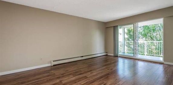 Spacious 2 Bedroom Top Floor Corner Condo with own Parking - Photo 2