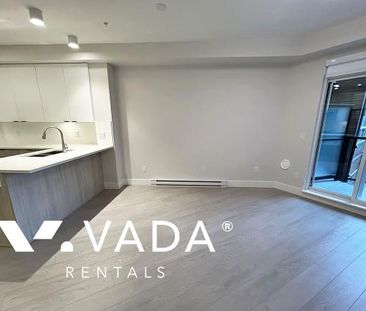 Unfurnished, 1 Bed 1 Bath Apartment For Rent - Photo 1