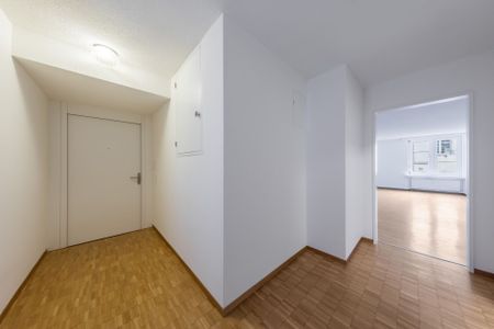 City apartment right on the Limmatquai - Photo 4