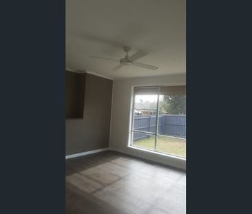 Comfy 3 bedroom home - Photo 2