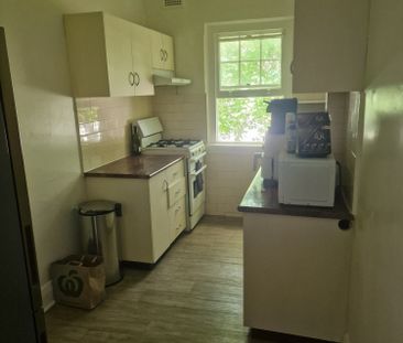 Paddington - Photo 3