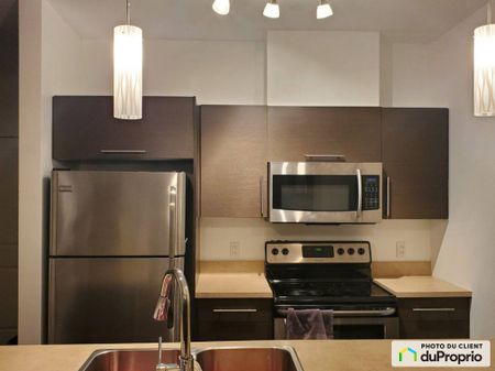 203-5, rue Édouard-Lalonde, Vaudreuil-Dorion à louer - Photo 4
