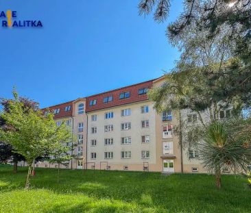 Pronájem, byt 2+1, Hranice, ul. Obránců míru - Photo 6