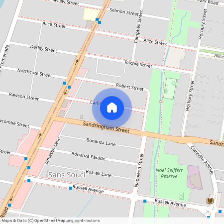 25 Camille Street, NSW 2219, Sans Souci