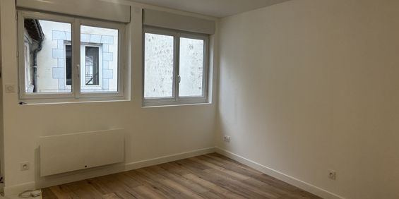 Location Appartement 1 pièce 26m² ORLEANS 45000 - Photo 3