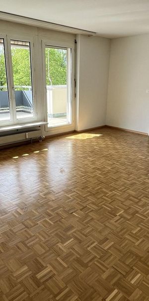 Sanierte Dachwohnung in der Wohnüberbauung Schanz - Photo 1