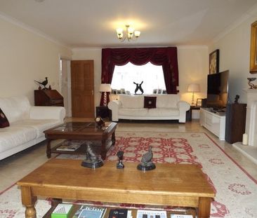Ferndown - Photo 4