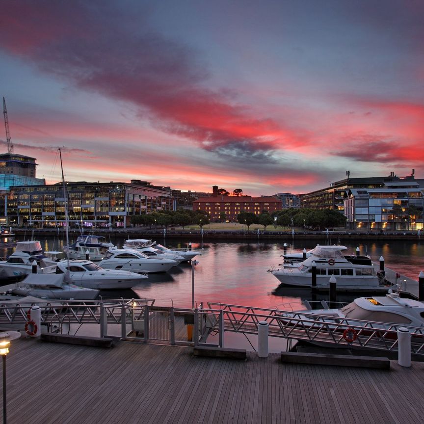 46/56 Pirrama Road, Pyrmont - Photo 1