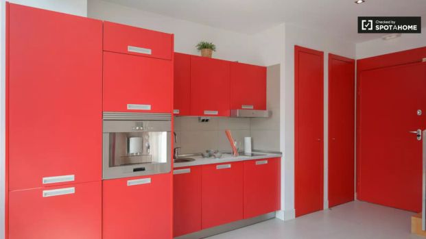 Studio for rent in Valverde. - Photo 1