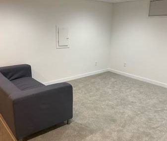 Studio Basement Suite - Photo 4