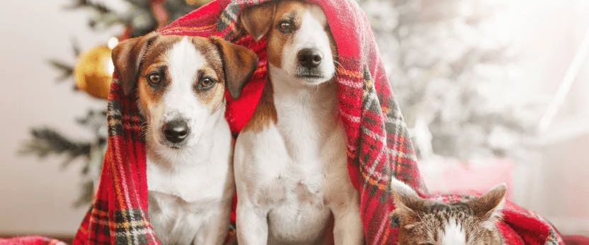 Rental 1908-7088 Salisbury Avenue - Photo 1