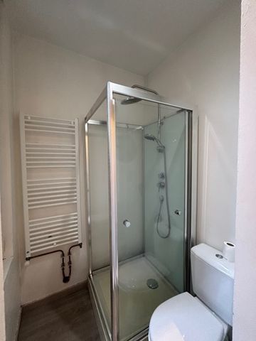 Location Appartement 1 pièce 19m² NANCY 54000 - Photo 5