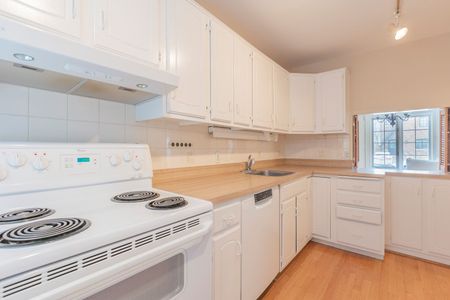 For Lease - 24 Douglas Crescent, Toronto, Ontario - Photo 3