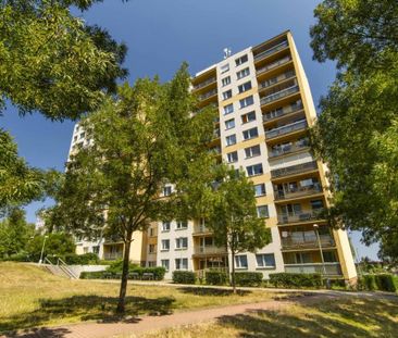 Pronájem bytu 2+kk 46 m2 - Fotografie 4