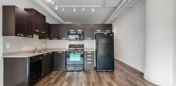 ON SUBWAY LINE MASSIVE W/O TERRACE 1 BED HARD LOFT - Photo 2