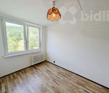 Prostorný byt 4+1 s lodžií a nádherným výhledem, 5. patro, Janov u ... - Фото 6
