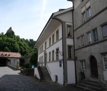 FRIBOURG - PLACE DU PETIT-ST-JEAN 39 - CHARMANT APPARTEMENT MEUBLE ... - Photo 3