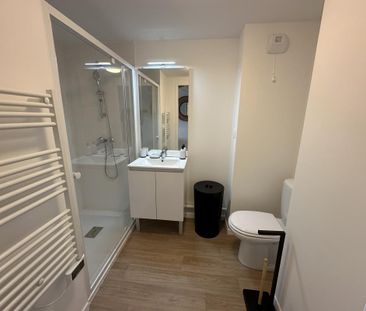 Location Appartement 1 pièce Meublé 17m² NANTES 44300 - Photo 4