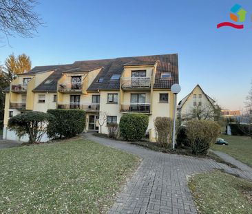 Location Appartement 2 pièces 37m² OBERHAUSBERGEN 67205 - Photo 6