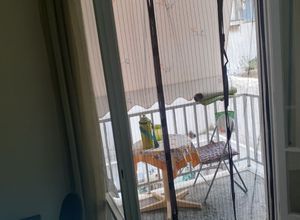 Studio/Γκαρσονιέρα για ενοικίαση - Κέντρο - Λιμάνι, - Photo 5