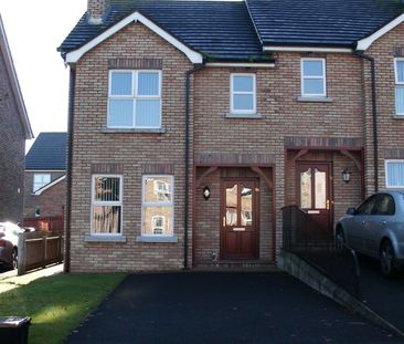 57 Rossdale, Ballymena, BT42 2SA - Photo 3