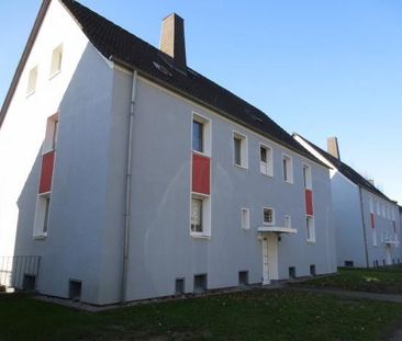 Schöne, helle, frisch gestrichene 2-Zimmer-Wohnung - Foto 1