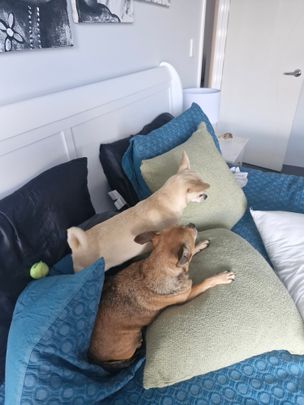 Hammond Park - Photo 1