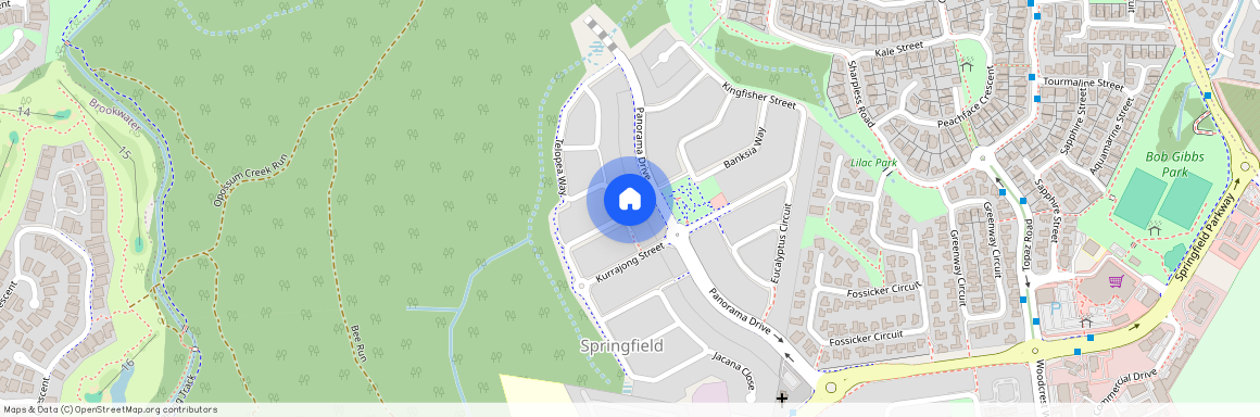 58 Telopea Way, Qld 4300, Springfield