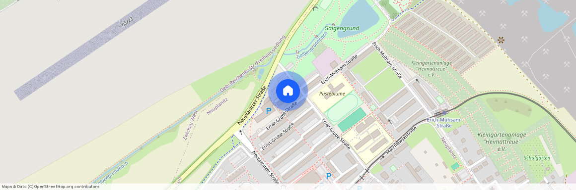 Neuplanitz, E.-Grube-Str. 227, 08062, Zwickau