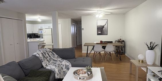 4 1/2 Gatineau - Grand Demi Sous-sol - Photo 3