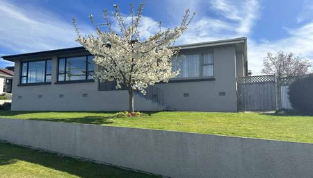 North Gore - 4 Bedroom - $500 pw - Photo 5