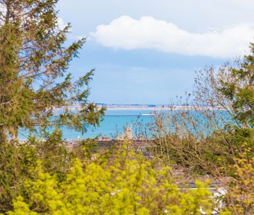 Galloping Green, Stillorgan Road, Blackrock, Co. Dublin, A94 W77. - Photo 4