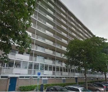 Suze Groeneweglaan 3021 AE Rotterdam - Photo 3