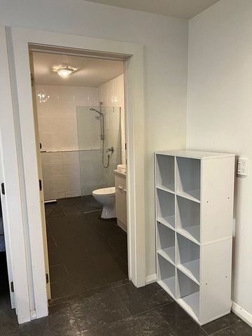 Mt Eden - move in with just your suitcase! - Photo 5