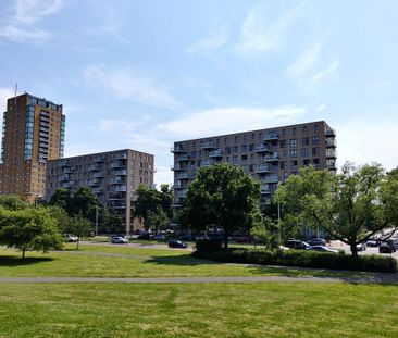 Te huur: Appartement Loevesteinlaan in Den Haag - Foto 5