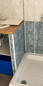 Appartement à louer 1 pièce 21.71m² - Photo 4