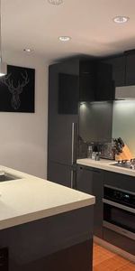 Modern Luxury FURNISHED 1 BR & Den TELUS GARDEN Richards + Robson St - Photo 3