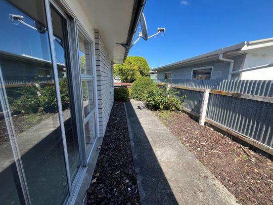 3/206 Ruahine Street, Roslyn, Palmerston North - Photo 1