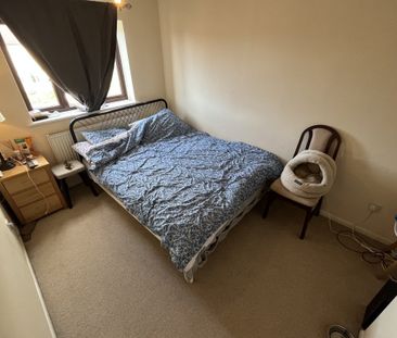 Thyme Close - Photo 5