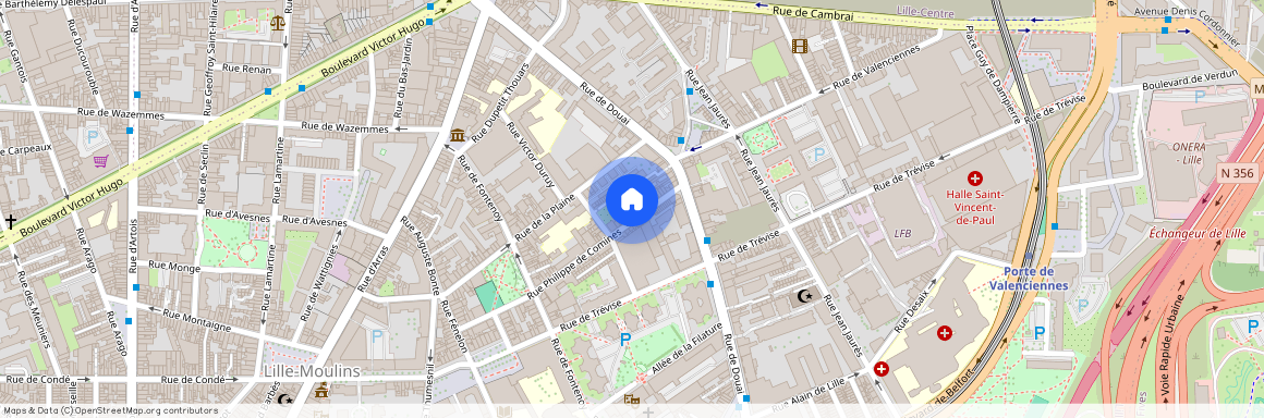 81 Rue Philippe de Comines, 59000 Lille