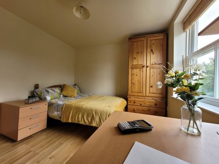 2 Bedrooms, 14 Willowbank Mews Flat 4 – Student Accommodation Coventry - Photo 3