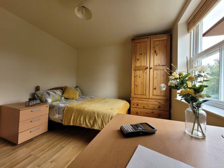 2 Bedrooms, 14 Willowbank Mews Flat 4 – Student Accommodation Coventry - Photo 2