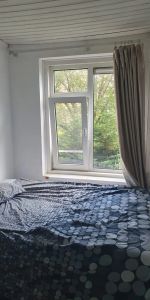 Chambre meublée Theodorus Majofskistraat, Amsterdam - À louer - Photo 3