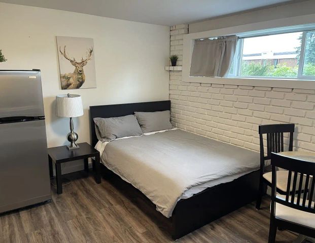 Fully Furnished Bachelor Unit – close to University of Calgary — 0 Bedrooms Basement - Photo 1