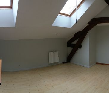 Location Appartement 1 pièce 24m² NANCY 54000 - Photo 4