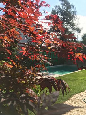 Μονοκατοικία για ενοικίαση Αρσάκειο (Παλαιό Ψυχικό) - Φωτογραφία 1